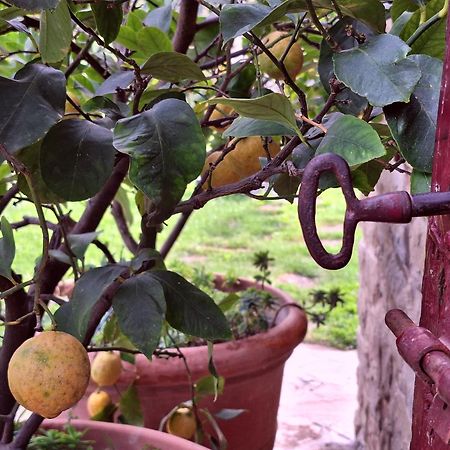 Agriturismo Campo Del Pillo Pietradura Eksteriør bilde