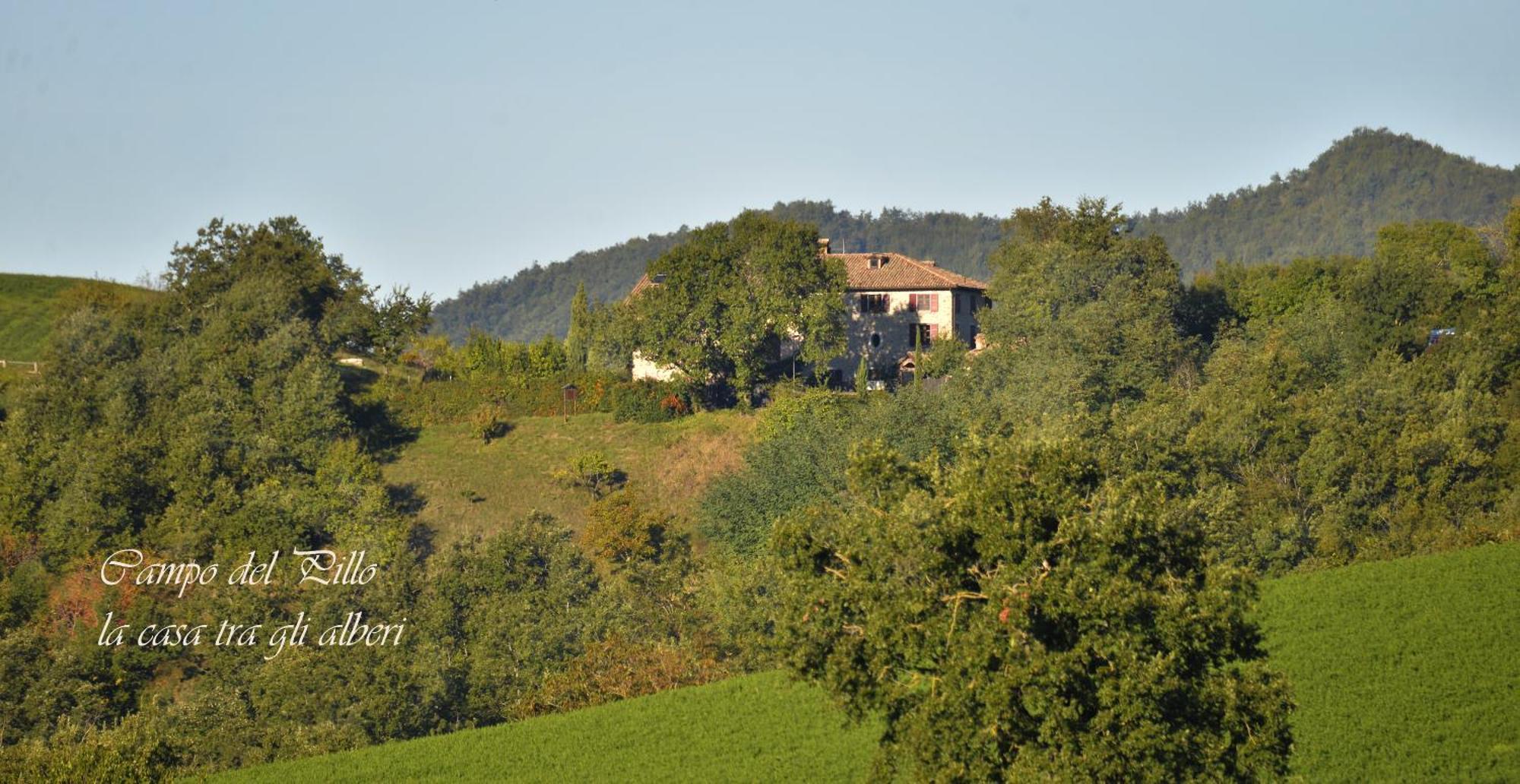 Agriturismo Campo Del Pillo Pietradura Eksteriør bilde