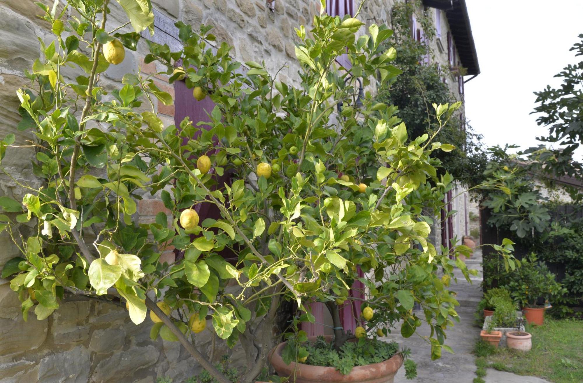 Agriturismo Campo Del Pillo Pietradura Eksteriør bilde