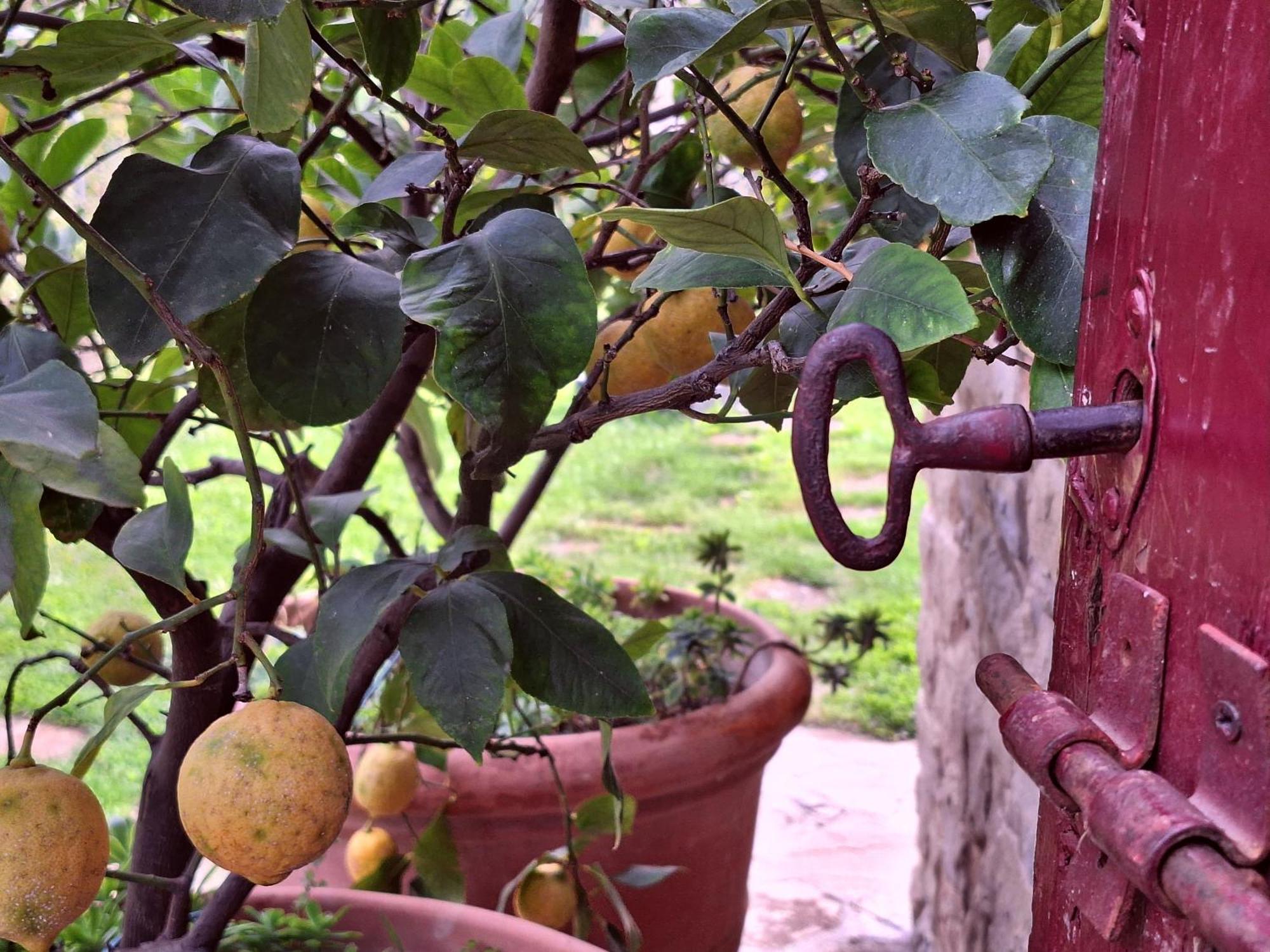 Agriturismo Campo Del Pillo Pietradura Eksteriør bilde