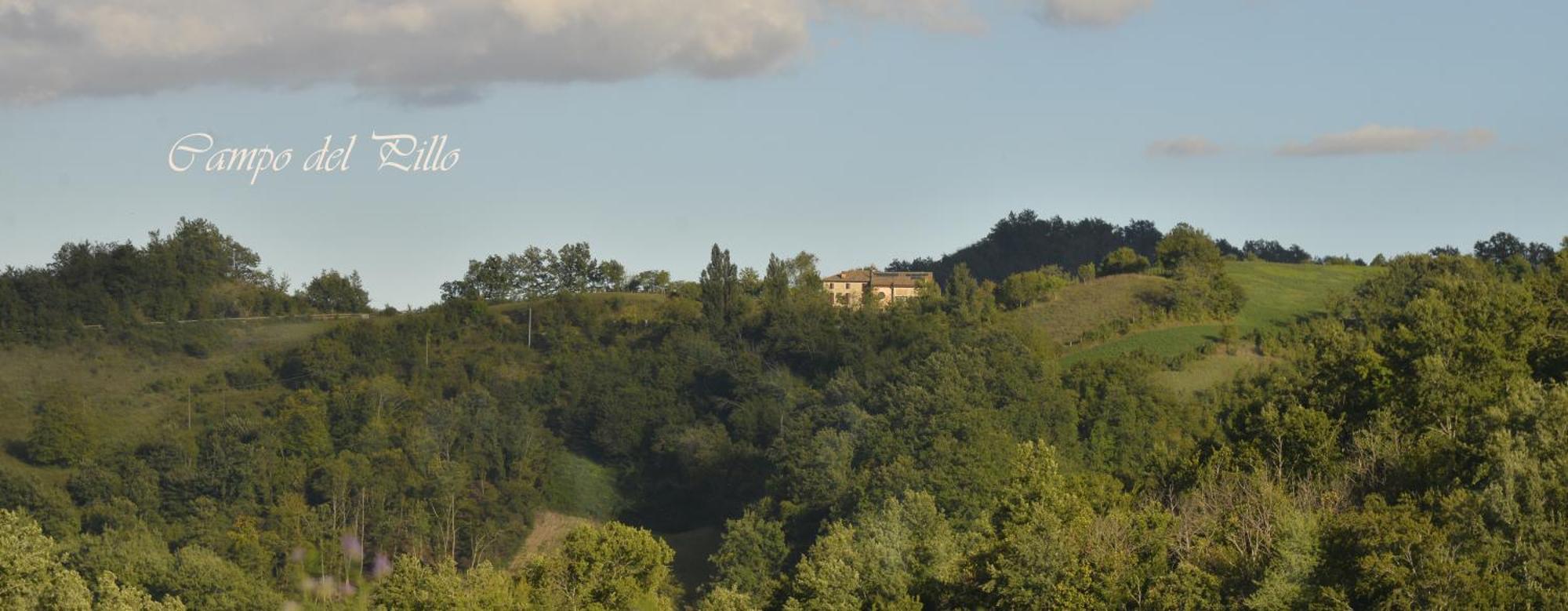 Agriturismo Campo Del Pillo Pietradura Eksteriør bilde