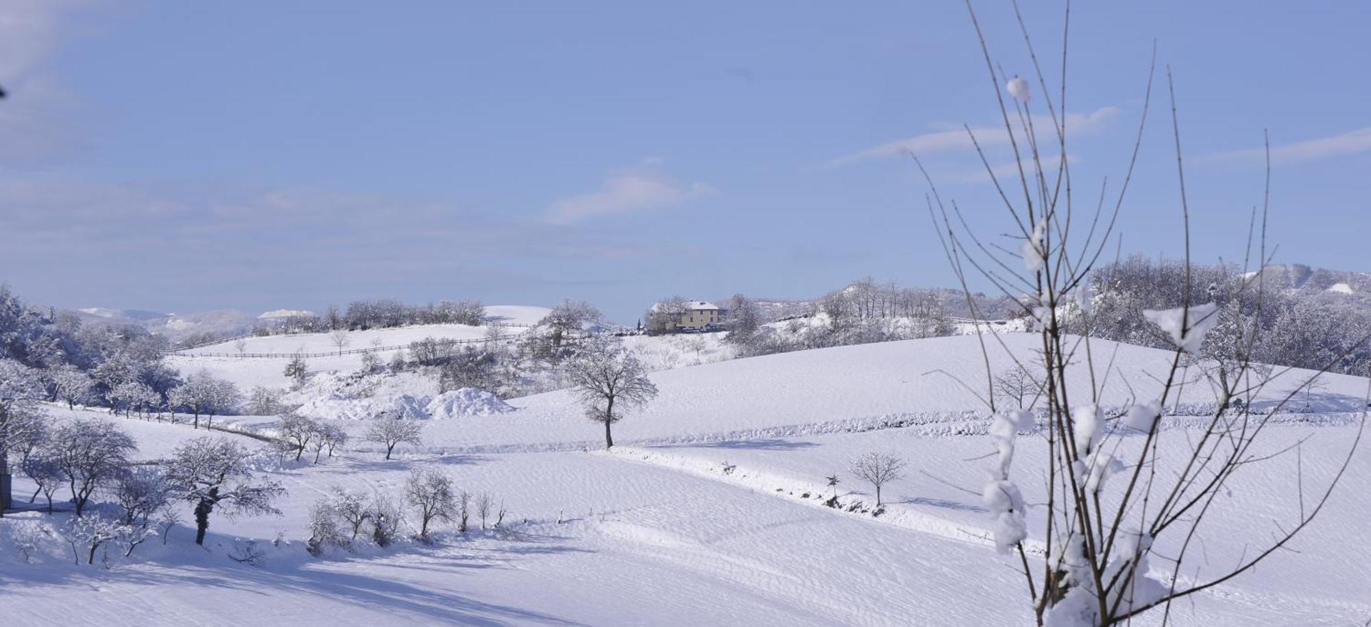 Agriturismo Campo Del Pillo Pietradura Eksteriør bilde