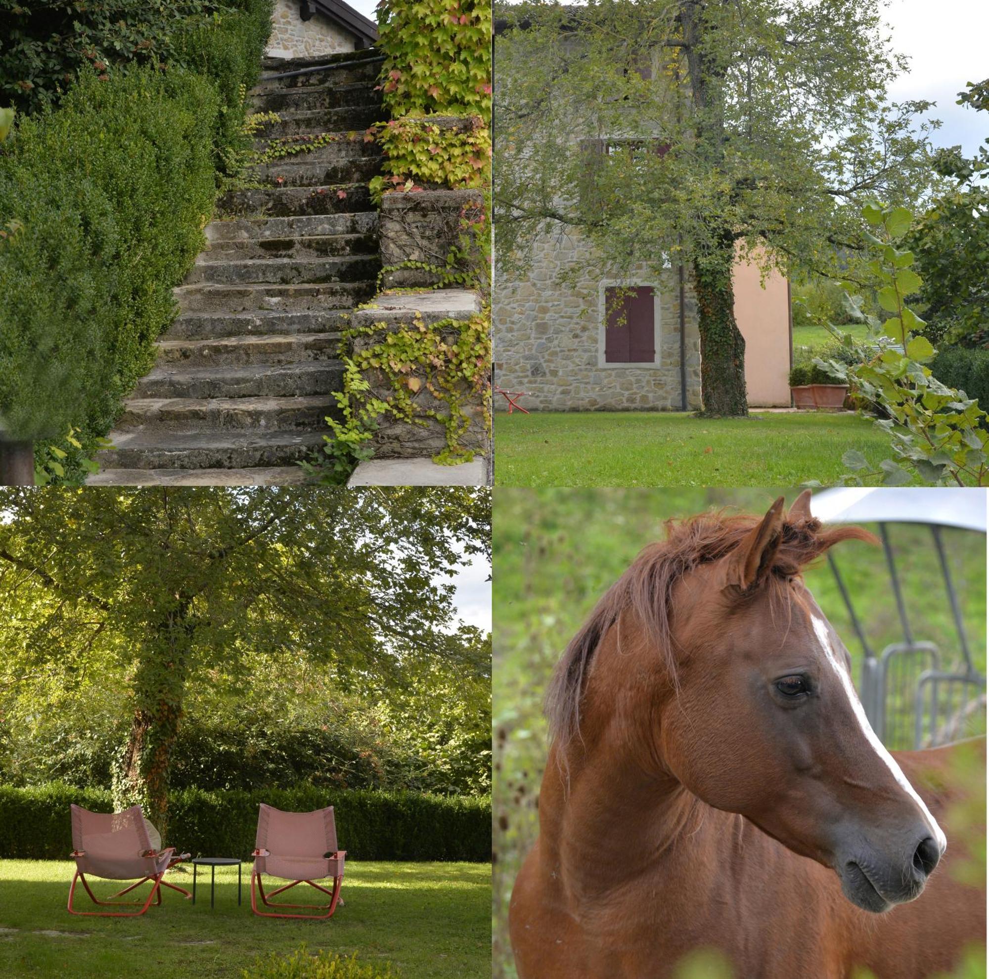 Agriturismo Campo Del Pillo Pietradura Eksteriør bilde